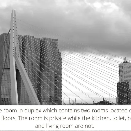 Homestay Rotterdam